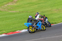 Lower Group Blue Bikes